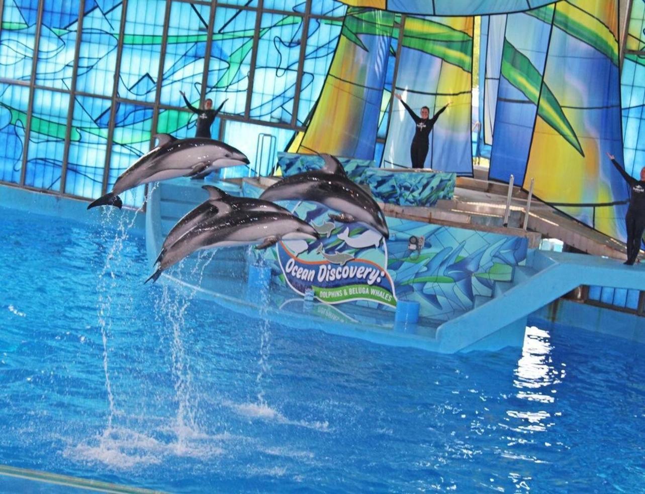 Gameroom, Bbq & Hot-Tub By Lackland & Seaworld San Antonio Buitenkant foto